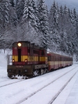 Místo : Špičák
Datum : 27.12.2005