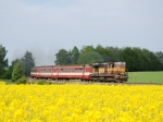 Msto : Vojt?chovDatum : 09.05.2009