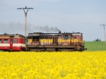 Msto : Vojt?chovDatum : 09.05.2009