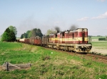 Msto : drec nad DoubravouDatum : 10.05.2006