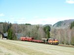 M�sto : Janovice u TrutnovaDatum : 05.04.2025