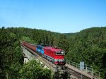 M�sto : Plasy - NebrezinyDatum : 21.06.2025