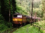 Místo : Klínec
Datum : červen 1993