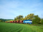 Msto : NemoticeDatum : 26.04.2025