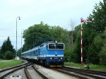 Msto : Suchdol nad LuzniciDatum : 04.08.2025