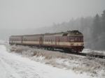 Msto : Vysok PopoviceDatum : 11.01.2009